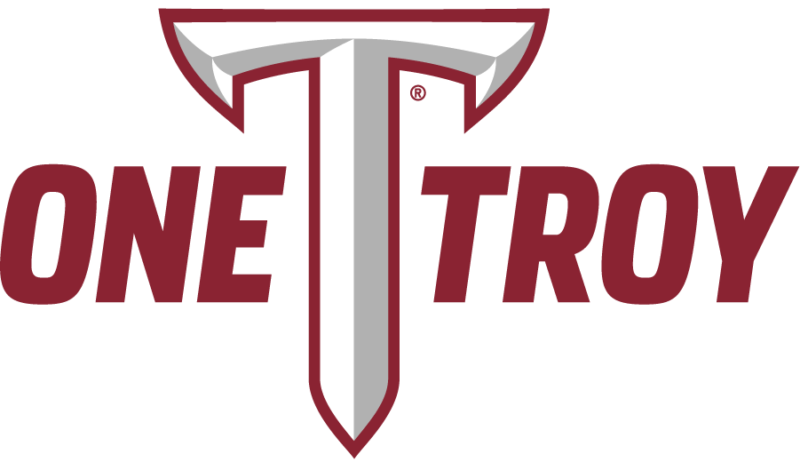 Troy Trojans 2019-Pres Wordmark Logo v2 diy DTF decal sticker